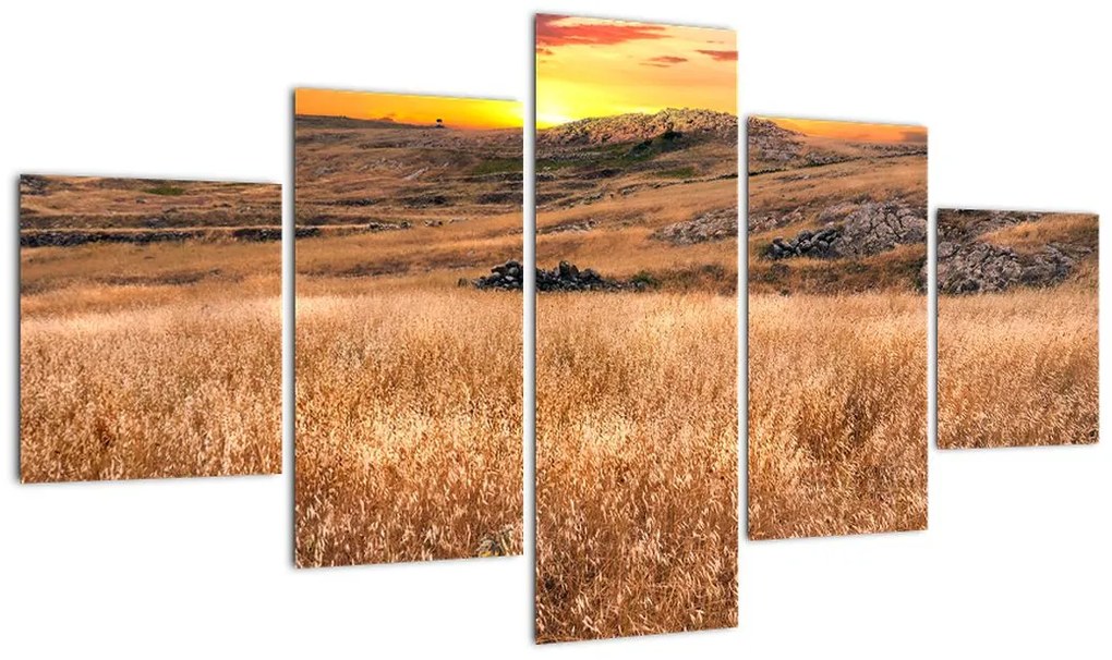 Obraz pola (125x70 cm)