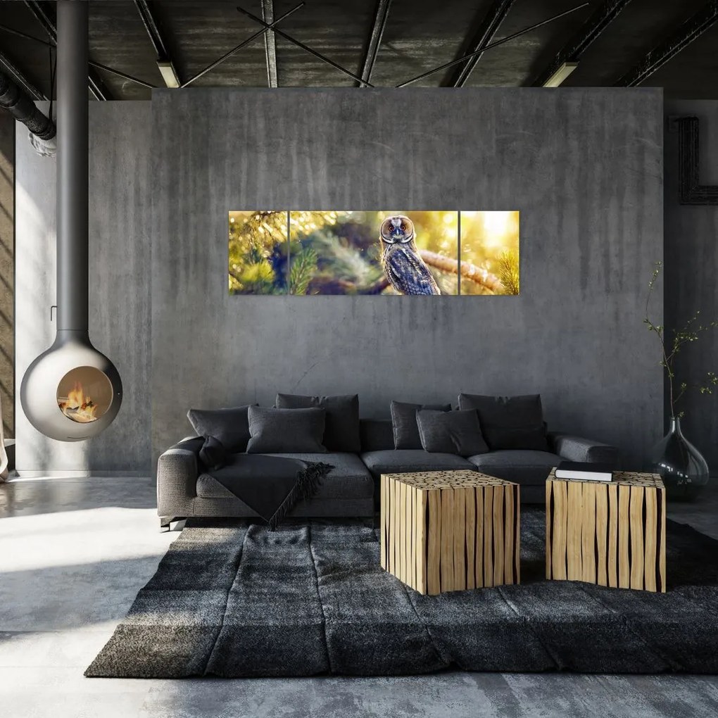 Obraz sowy na drzewie (170x50 cm)