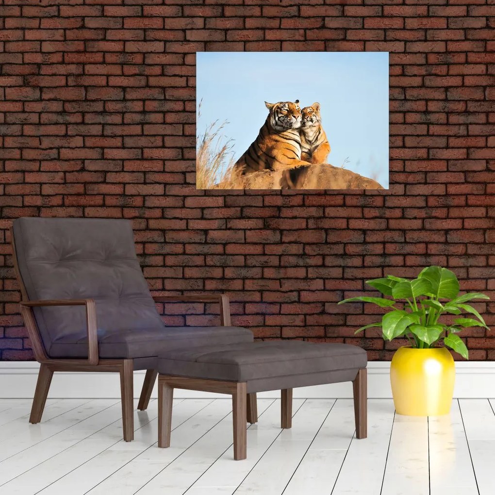 Obraz - Tygrysica i jej młode (70x50 cm)