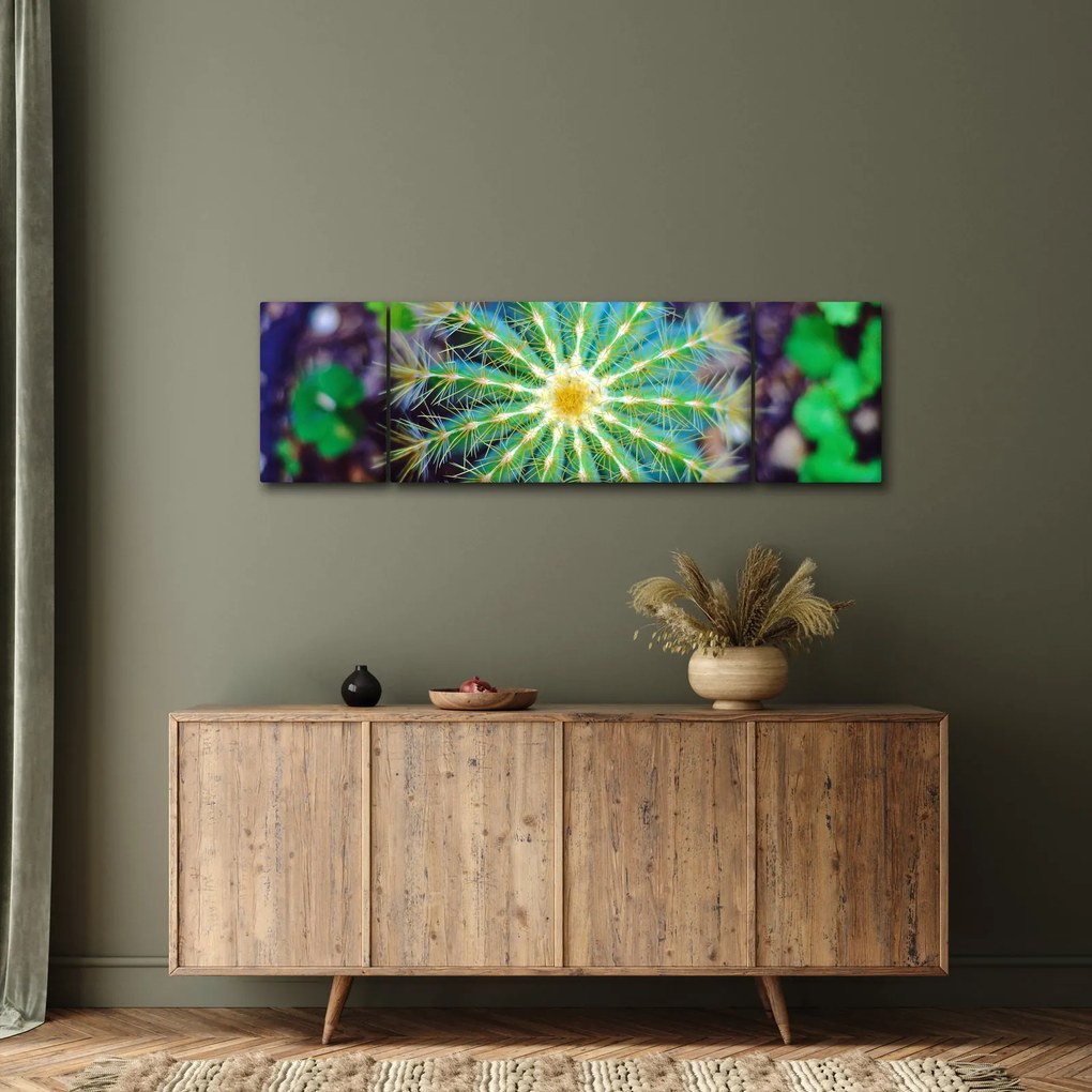 Obraz kaktusa (170x50 cm)