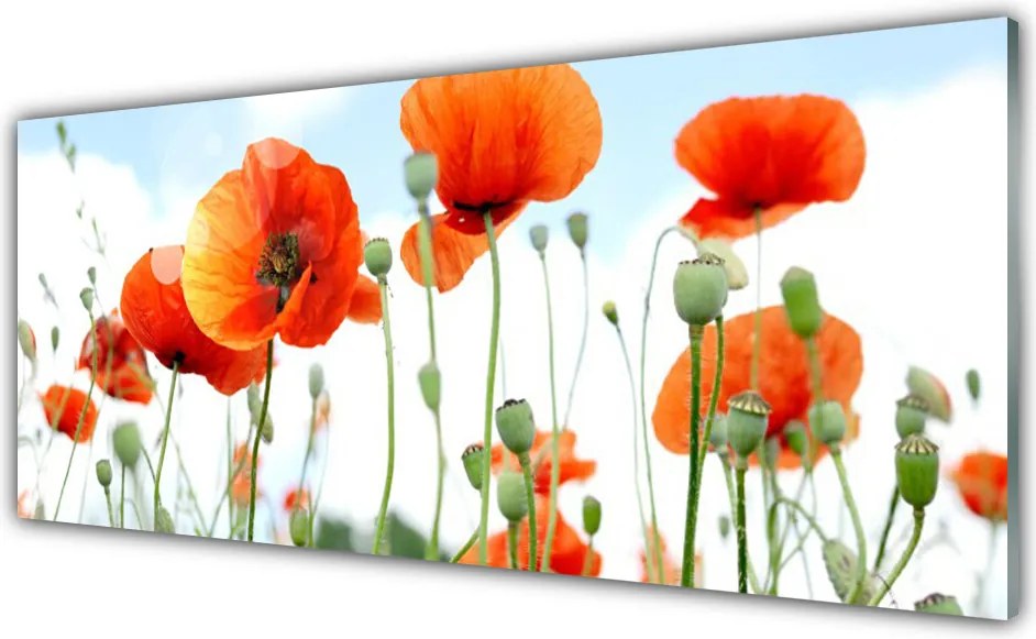 Panel nad blat kuchenny Dzika Łąka Pełna Maków