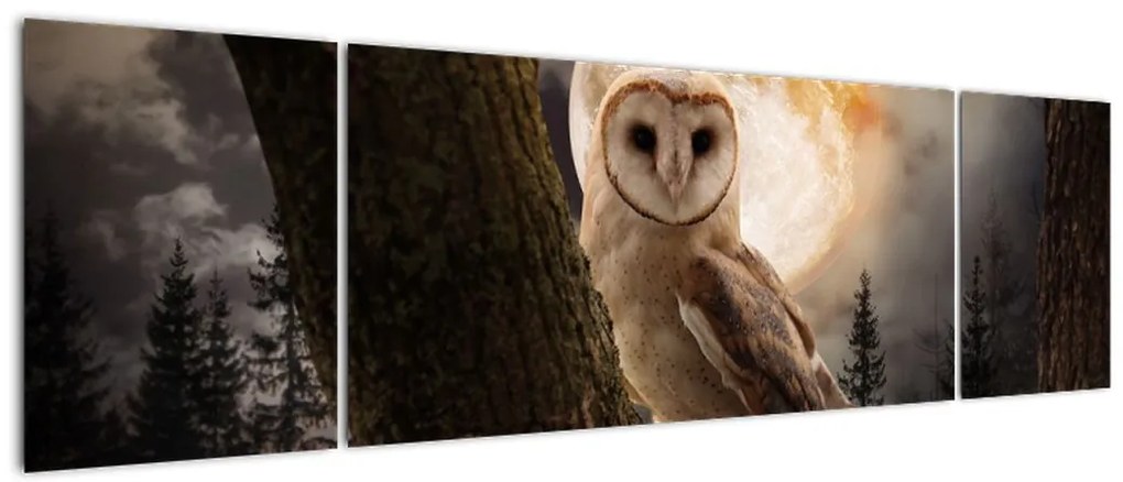 Obraz sowy palonej (170x50 cm)
