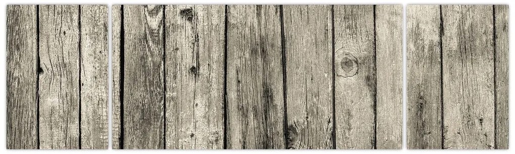 Obraz - Drzewo (170x50 cm)
