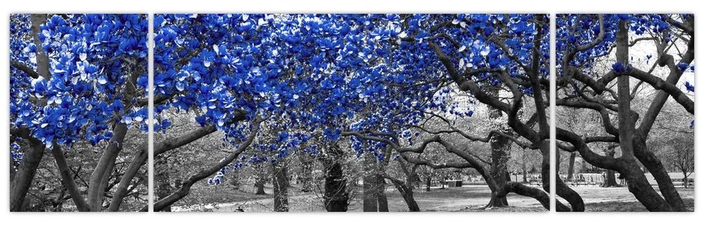 Obraz - Niebieskie drzewa, Central Park, New York (170x50 cm)