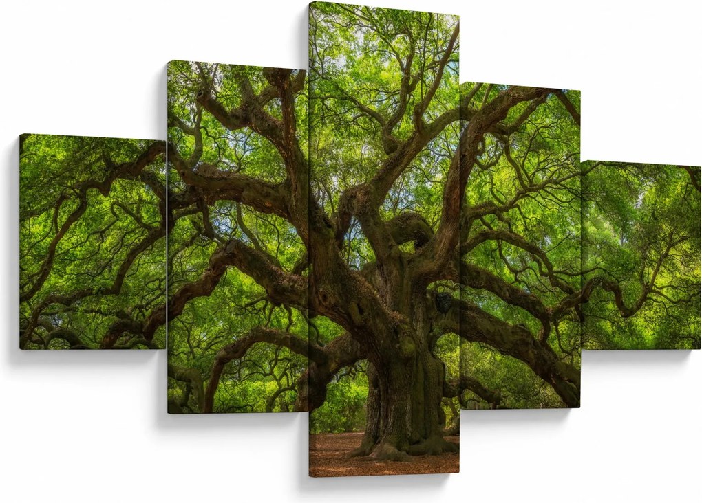 Obraz - Zielone drzewo (125x70 cm)