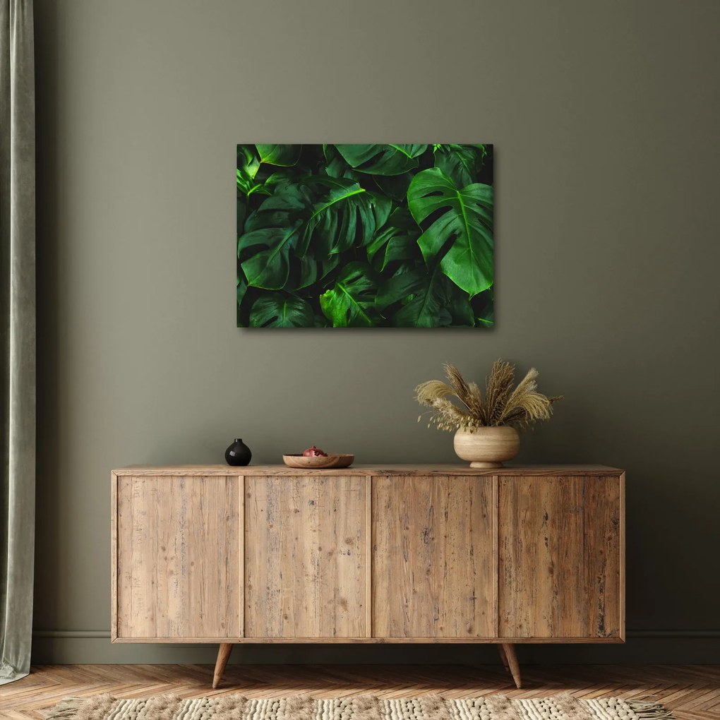 Obraz liści Monstery (70x50 cm)