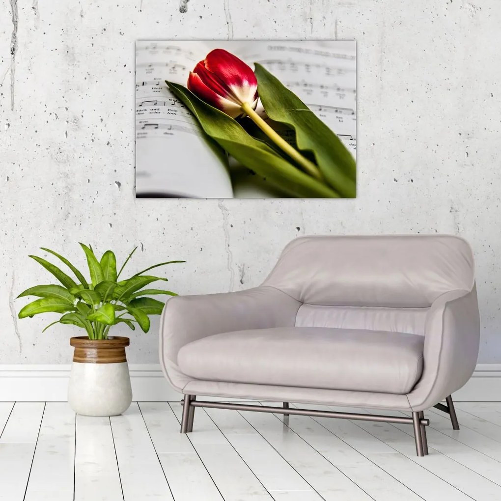 Obraz czerwonego tulipana (70x50 cm)