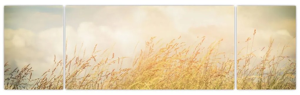 Obraz - Pole jesienią (170x50 cm)