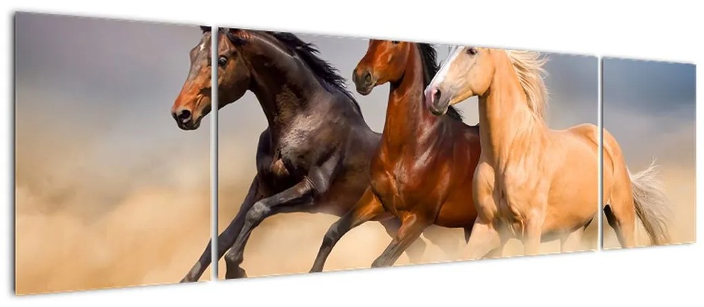 Obraz - Dzikie konie (170x50 cm)