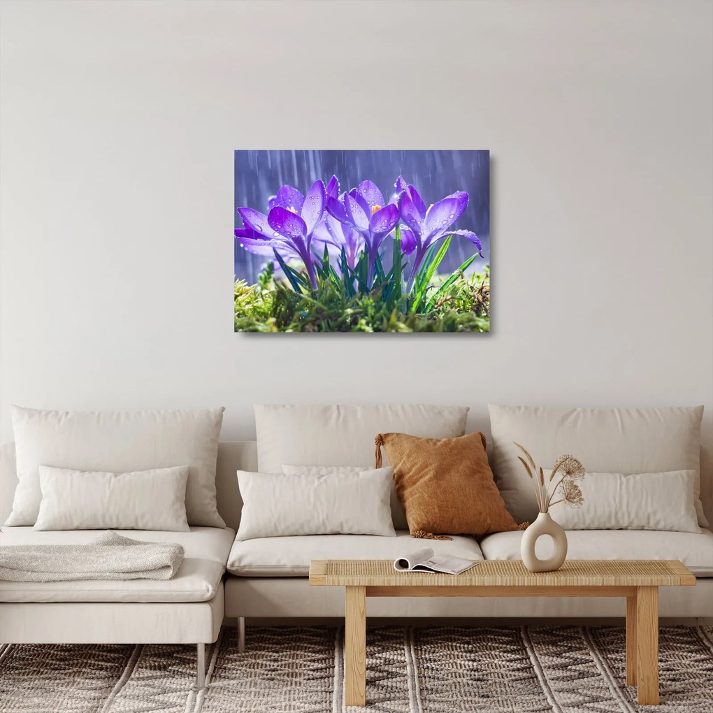 Obraz na szkle - kwiaty w deszczu (70x50 cm)