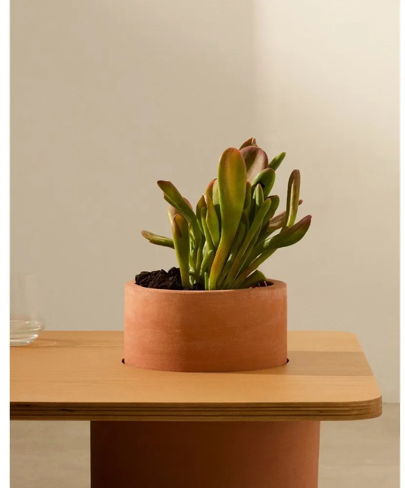 Okrągły stolik w dekorze jesionu w naturalnym kolorze 60x110 cm Olaria – Kave Home