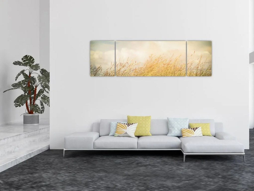 Obraz - Pole jesienią (170x50 cm)
