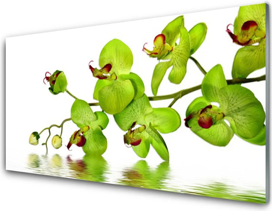 Dekor Szklany do Kuchni Kolorowy Ogród Botaniczny