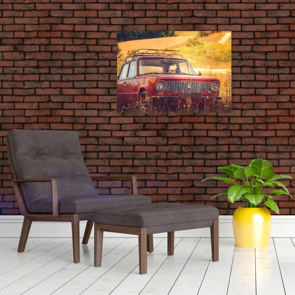 Obraz samochodu na polu (70x50 cm)