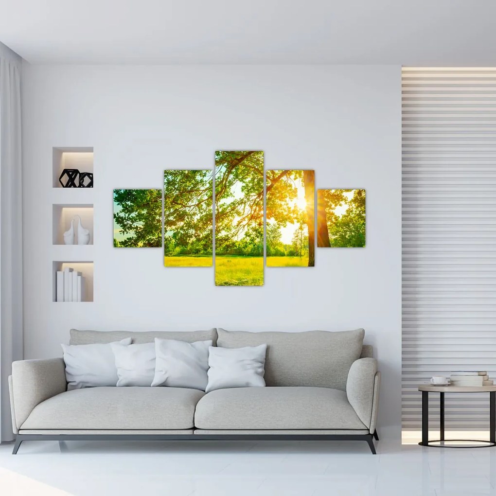 Obraz - Słoneczny Las (125x70 cm)