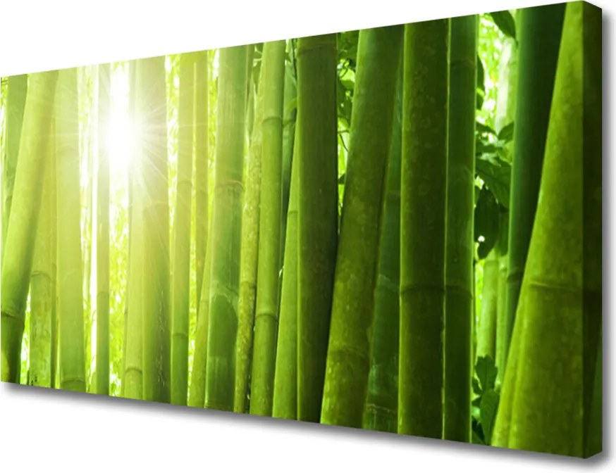 Obraz na płótnie Świeżość Zielonego Bambusa