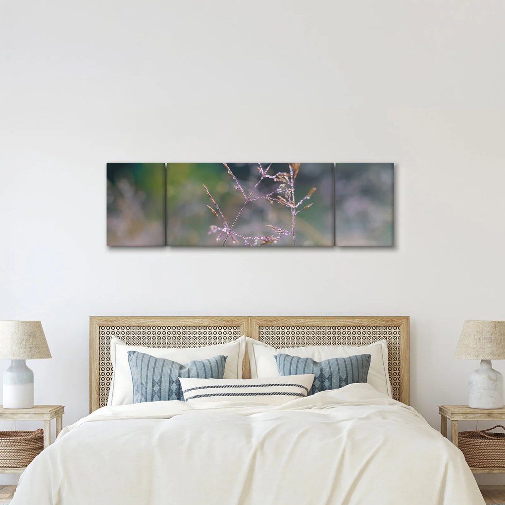Obraz - Szczegół trawy (170x50 cm)