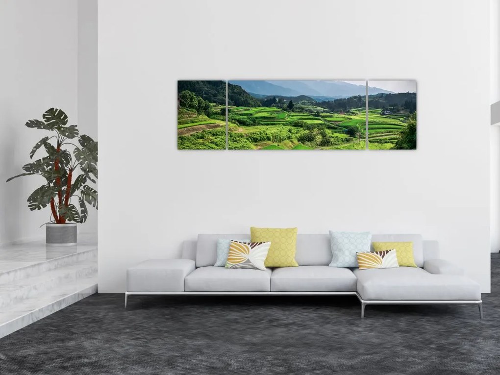 Obraz pól ryżowych (170x50 cm)