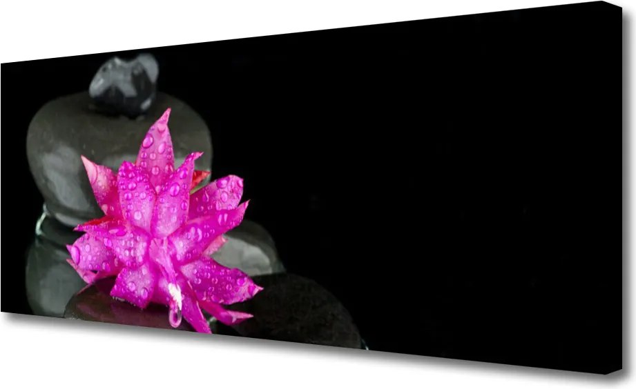 Zdjęcie na płótnie Elegancja Zen: Kwiat i Głazy