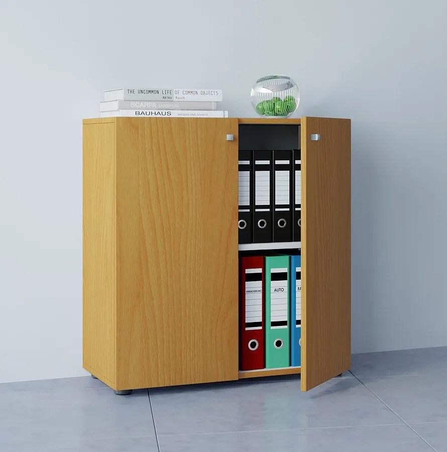 Szafka biurowa z kartoteką Lona 2-krotna