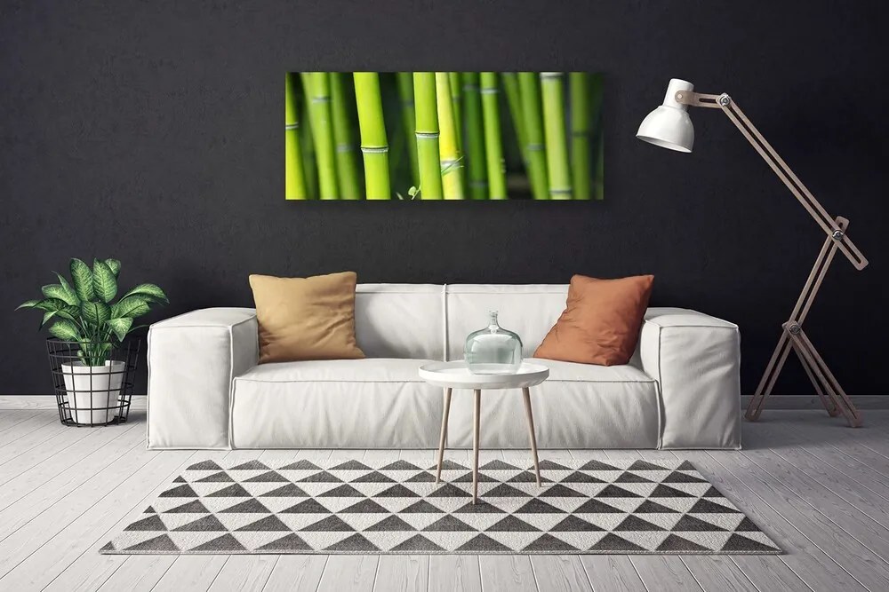 Fotoobraz na płótnie Zielone Łodygi Bambusa