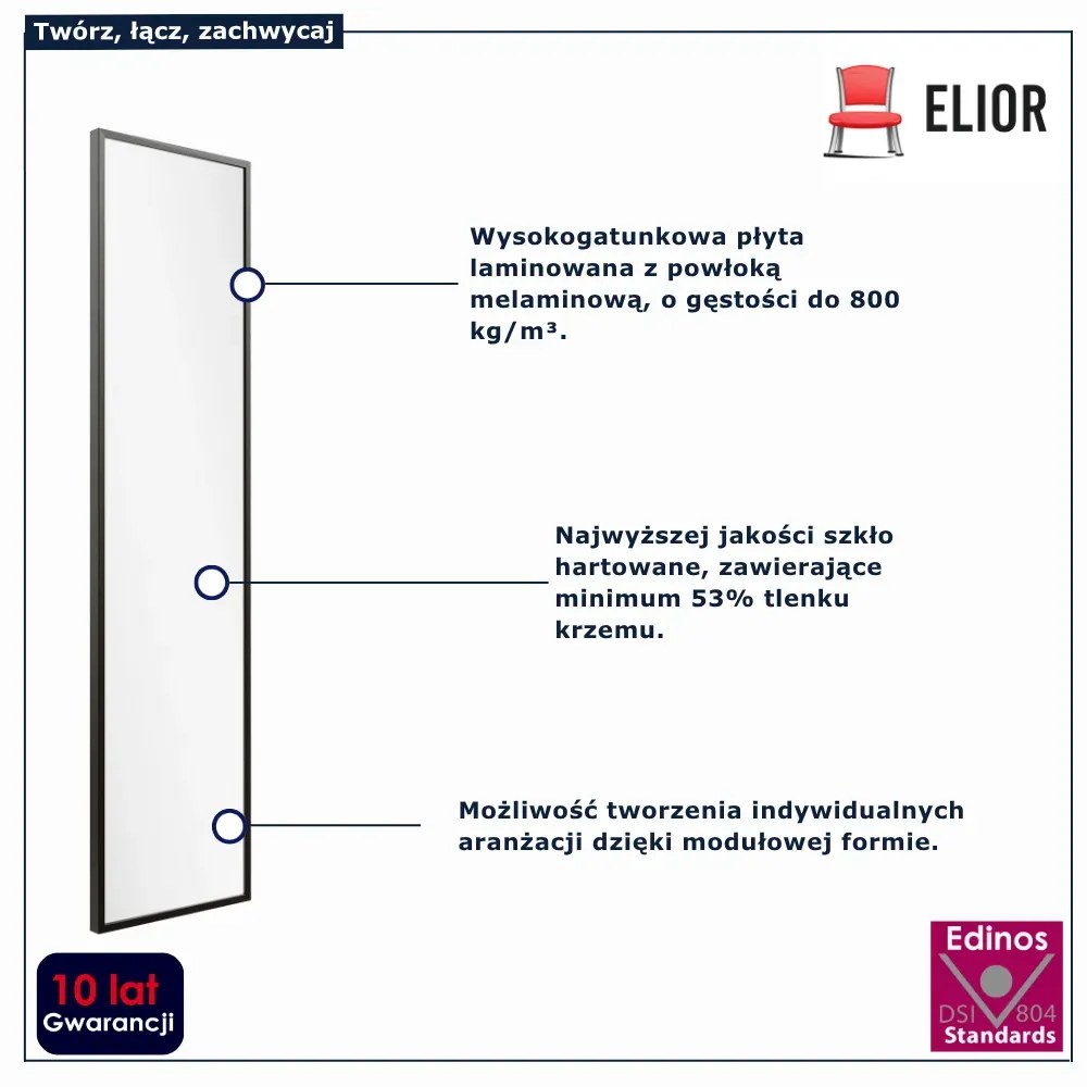 Modułowy lustrzany panel 35x140 P5-R42