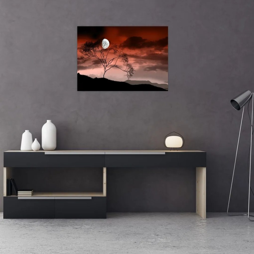 Obraz - Księżyc oświetlający noc (70x50 cm)