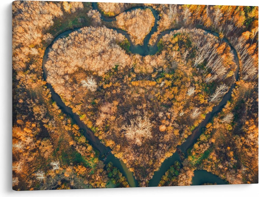 Obraz - Rzeka w kształcie serca (70x50 cm)