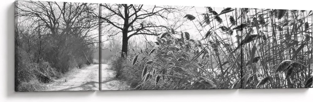 Obraz - Pola w zimie (170x50 cm)