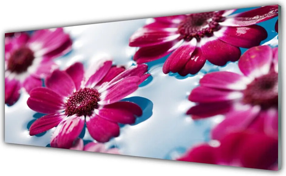 Panel Szklany Pływające Płatki na Tafli Wody