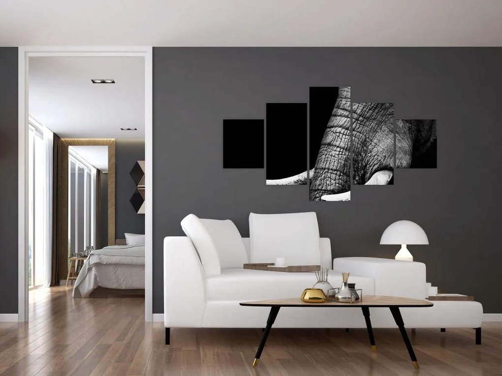 Obraz - Kły słonia (125x70 cm)