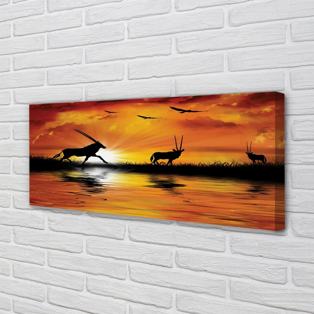 Zdjęcie na płótnie Ptaki nad Jeziorem o Zachodzie