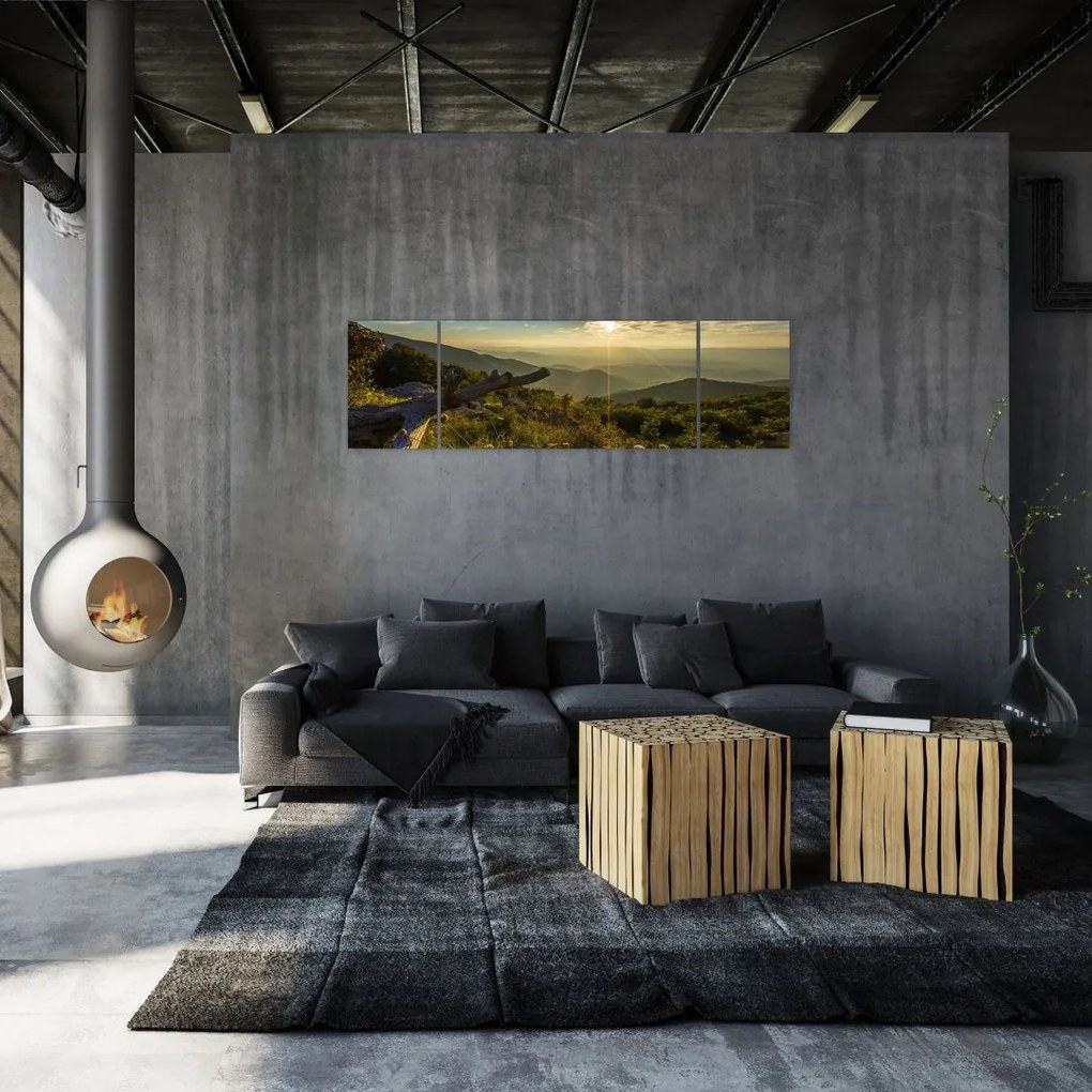 Obraz - Widok na otoczenie (170x50 cm)