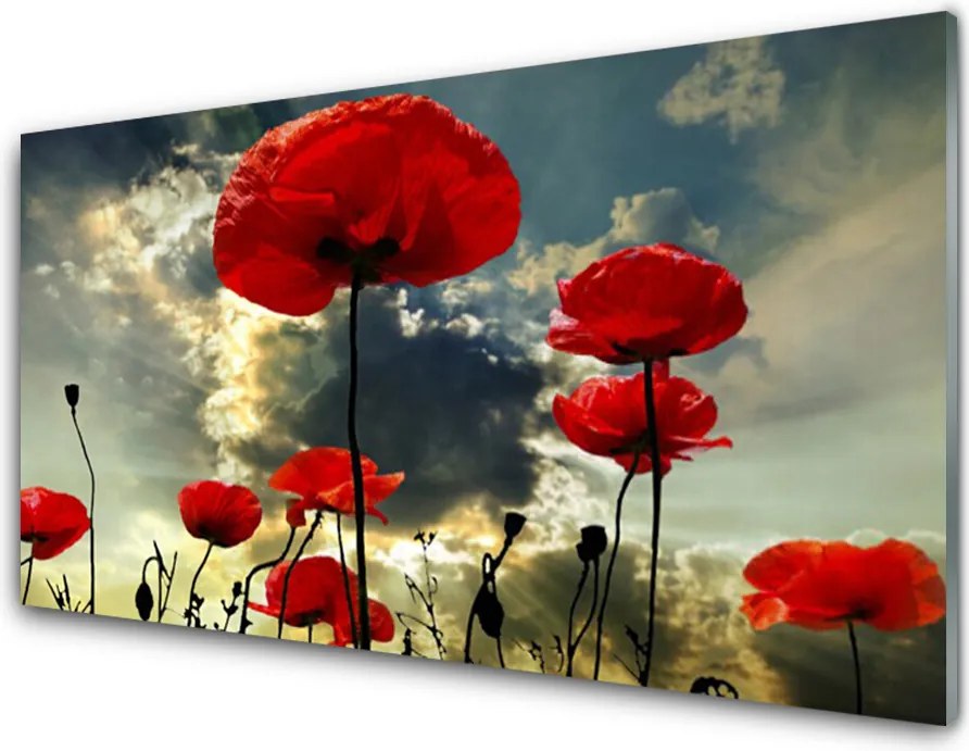 Panel Szklany do Kuchni Czerwone Maki o Poranku