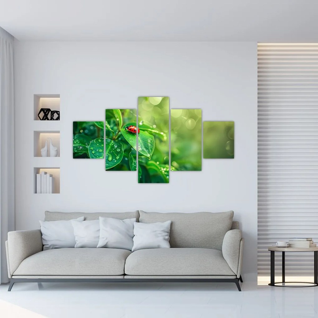 Obraz - Biedronka (125x70 cm)
