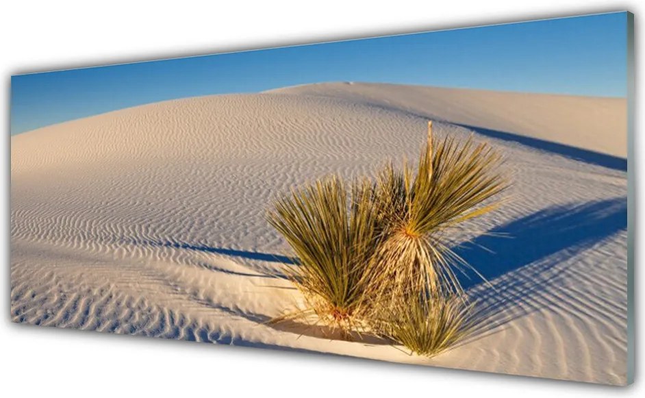 Panel Kuchenny Piaszczysty Pejzaż Pustynny