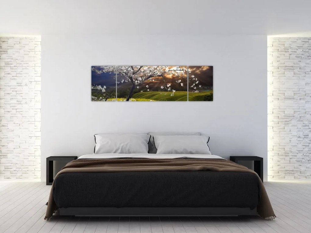 Obraz - Kwitnące drzewo w krajobrazie (170x50 cm)