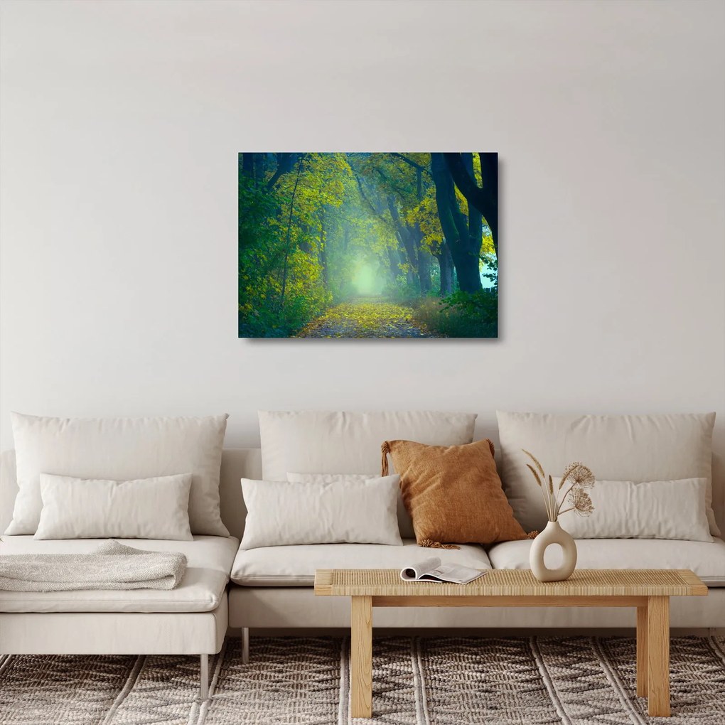 Obraz na szkle - droga wysadzana drzewami (70x50 cm)