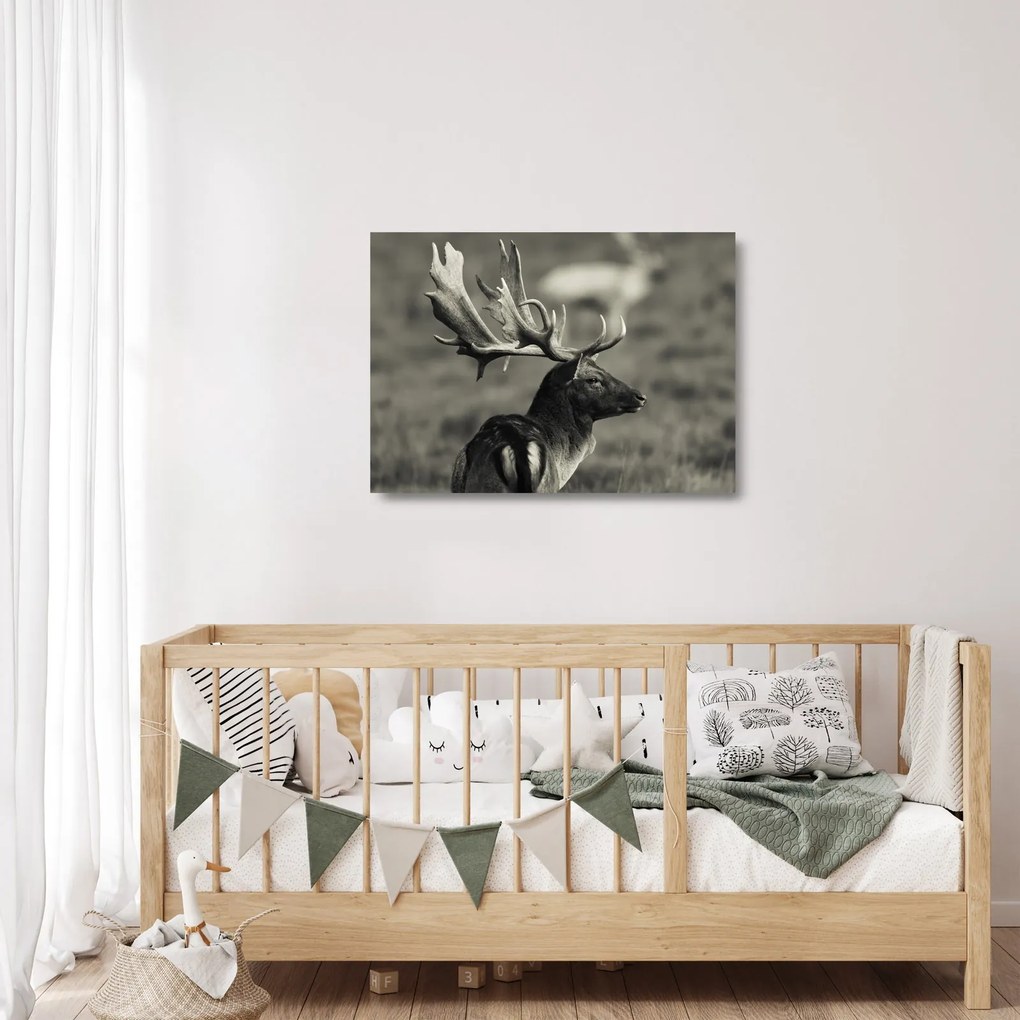 Obraz na szkle - Jeleń (70x50 cm)