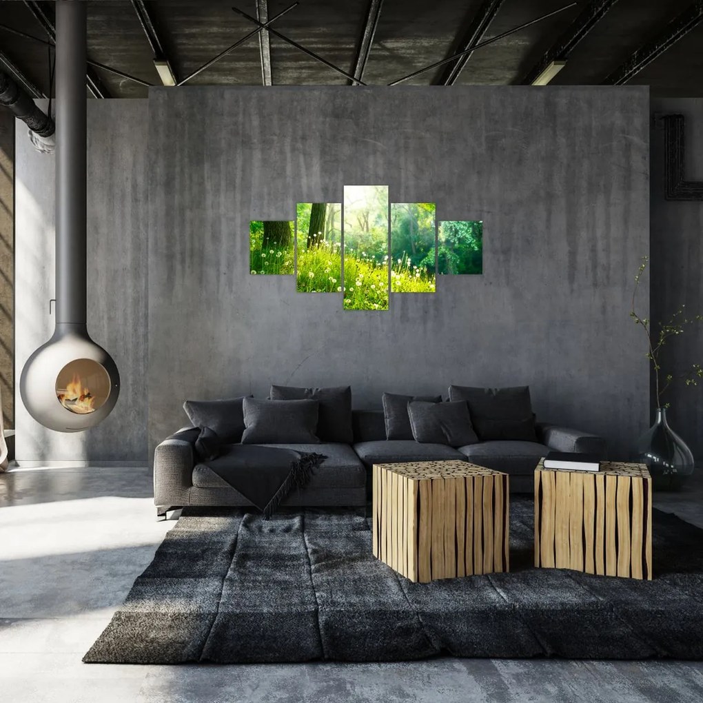 Obraz - Magiczna łąka pełna mniszków lekarskich (125x70 cm)