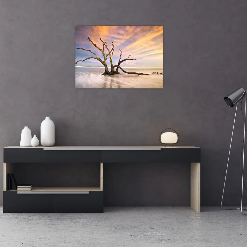 Obraz drzewa w oceanie (70x50 cm)