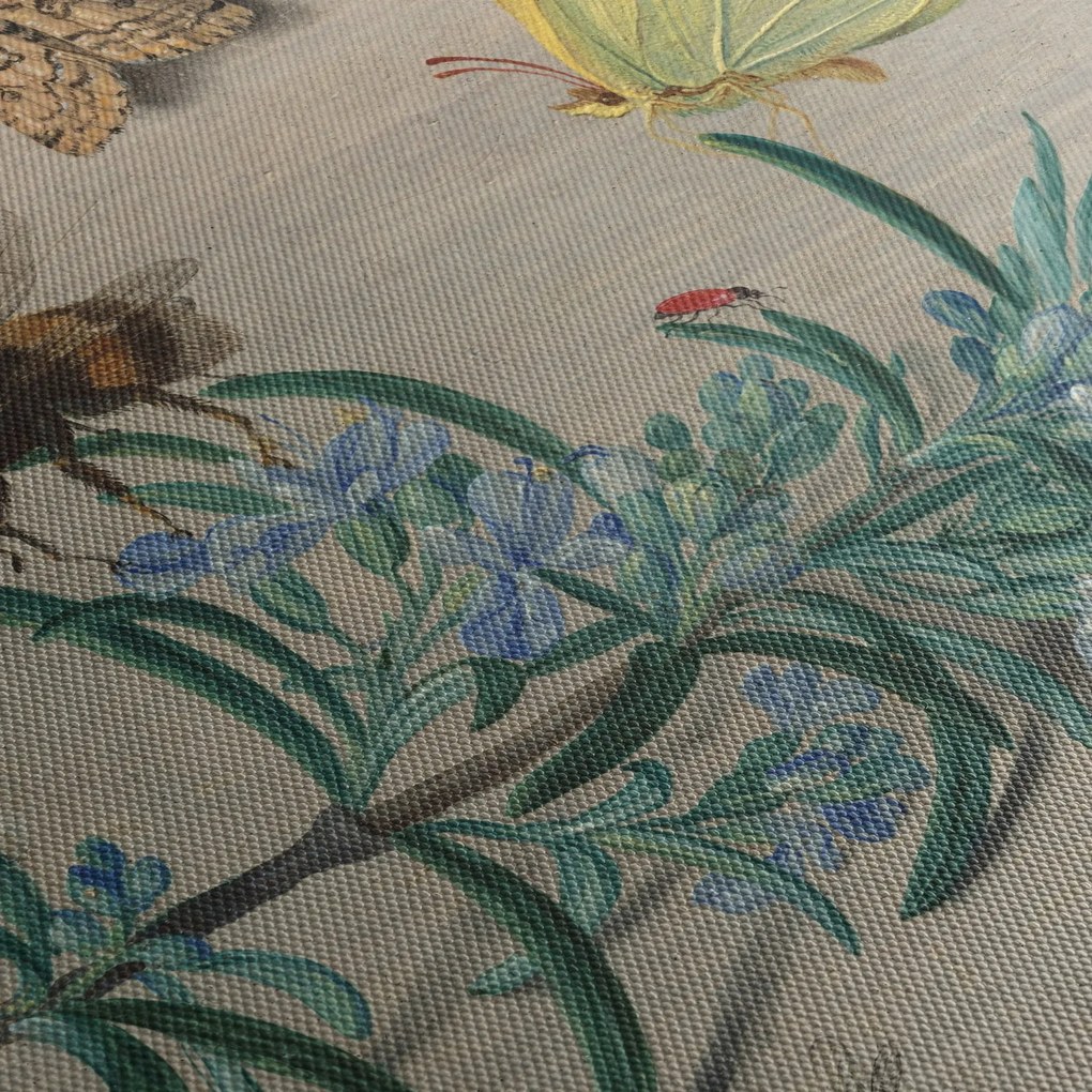 Obraz - Jan van Kessel the Elder, Insects and a Sprig of Rosemary, reprodukcje (70x50 cm)