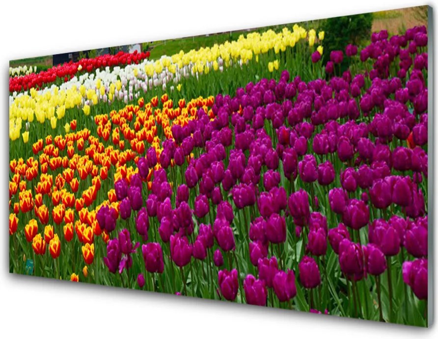 Panel Kuchenny Eleganckie Tulipany Holenderskie