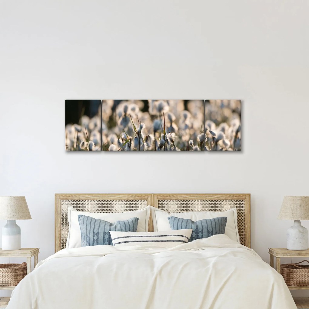 Obraz - Biała wełnianka (170x50 cm)