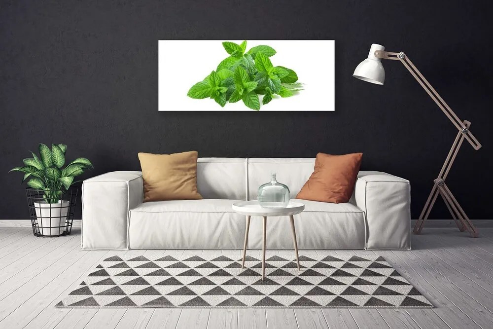 Obraz canvas Świeżość Liści Mięty