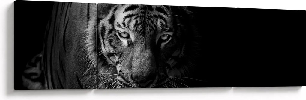 Obraz dzikiego tygrysa (170x50 cm)