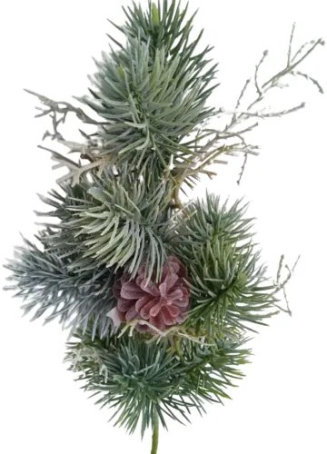 Gałązka pokryta szronem sosny, 46 cm