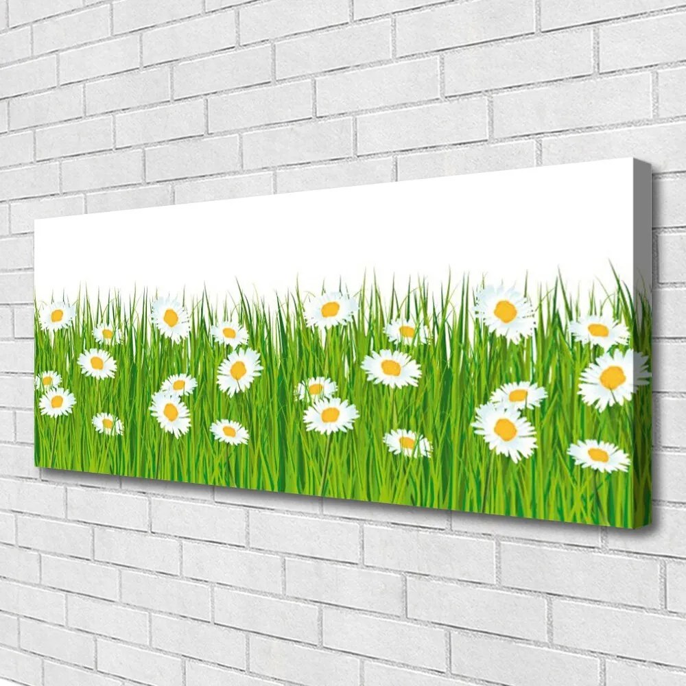 Obraz canvas na ścianę Stokrotki w Zielonej Trawie