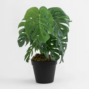 Dekoracyjna Sztuczna Roślina Monstera 35 Cm ↑35 Cm - Sklum