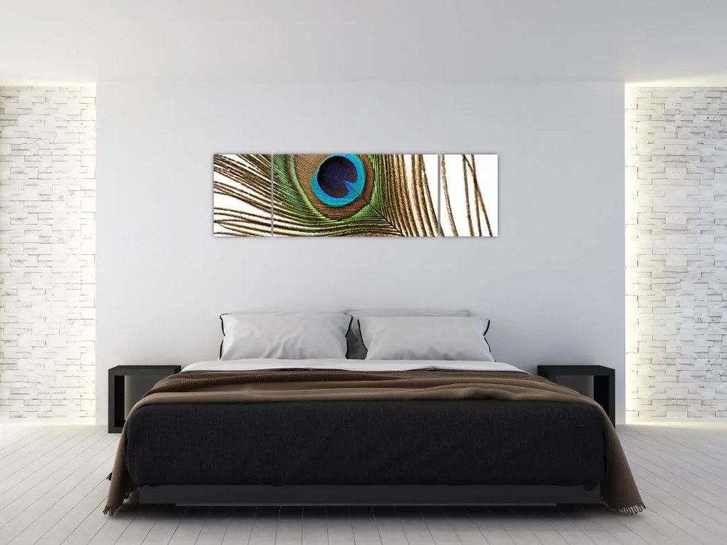 Obraz pawich piór (170x50 cm)